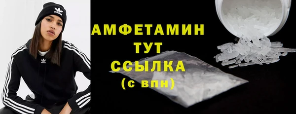 PSILOCYBIN Богданович
