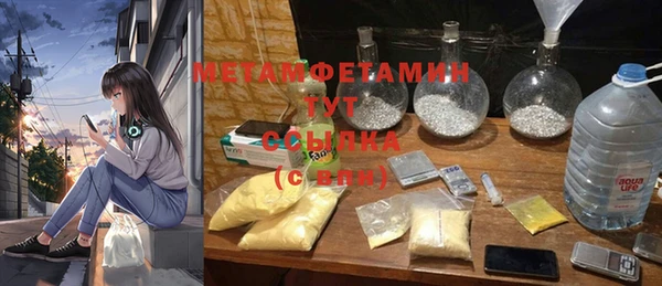 PSILOCYBIN Богданович