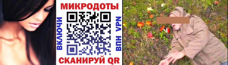 Псилоцибиновые грибы GOLDEN TEACHER  даркнет сайт  Невельск 